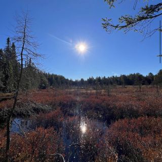 Algonquin Provincial Park