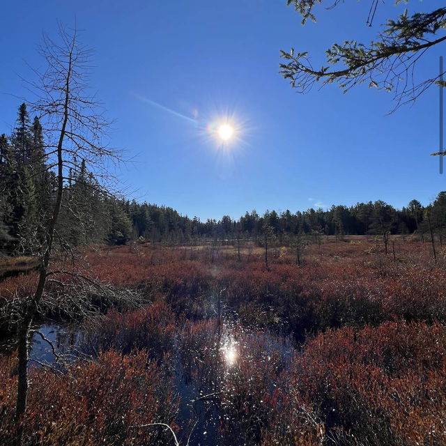 Algonquin Provincial Park Algonquin Provincial Park