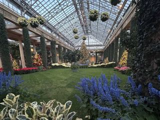 สวนลองวูด