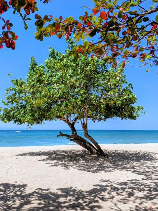 Incredible Indonesia tour