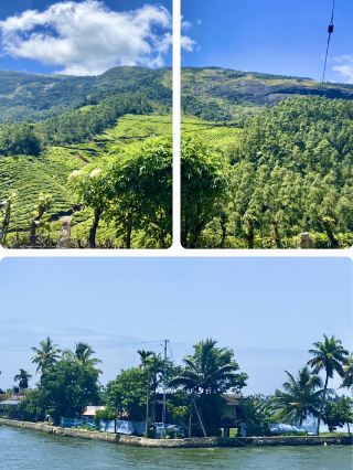 高知山區度假之旅