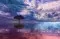 EnchantedDreamscape399