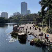  A stunning park in the heart of Shenzhen
