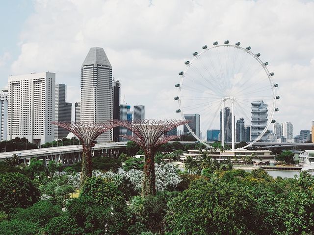 🇸🇬新加坡「擎天樹」