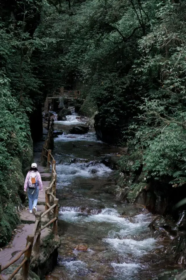 The ultimate guide to hiking in the mysterious Ailao Mountain and Shimen Gorge