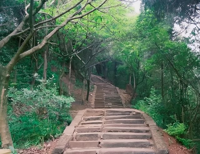 冬日好去處：成都金堂龍脊古道