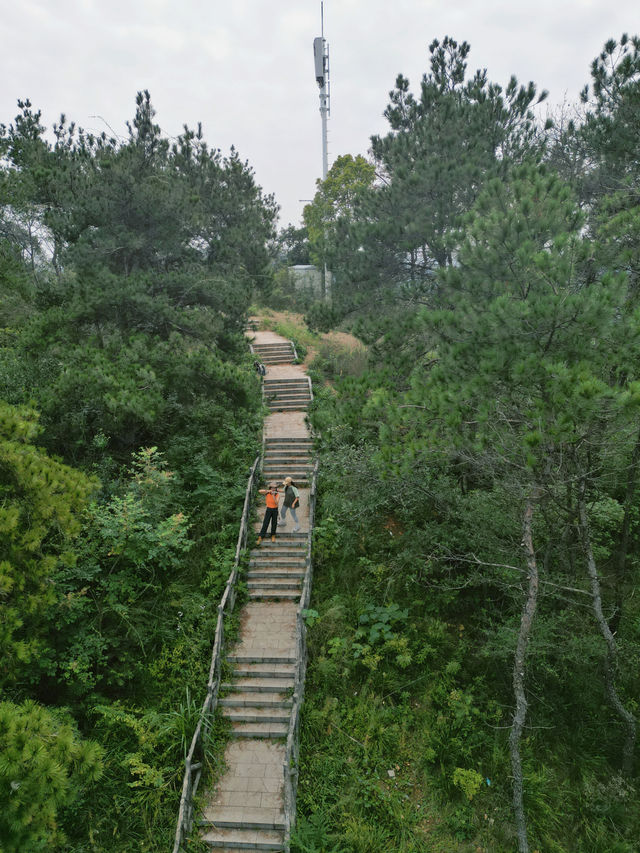 踏秋徒步地圖武漢小眾人少賞秋公園！