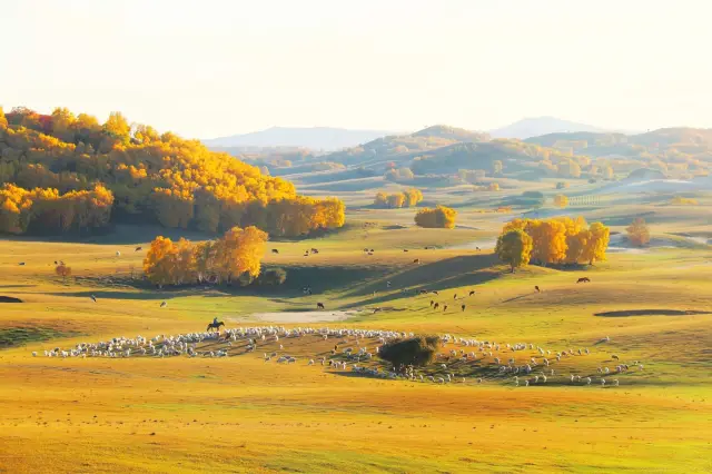 อากาศเย็นสบาย, โลกเต็มไปด้วยสีทองแนะนำสถานที่ชมสีใบไม้เปลี่ยนสีในฤดูใบไม้ร่วงที่เหมือนในนิทาน