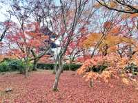 京都慢遊記