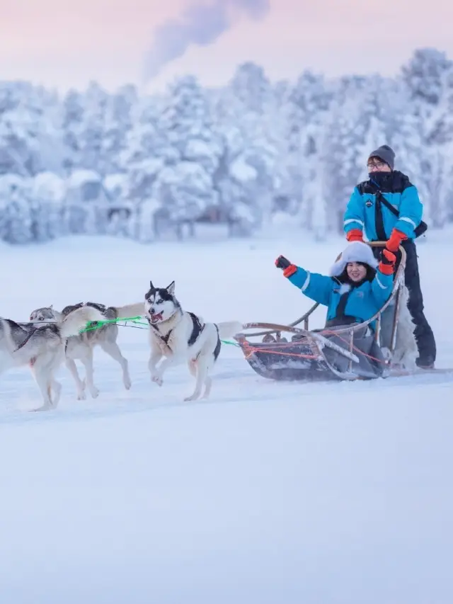 วันคริสต์มาสแน่นอนคือการนั่งสเลดที่ถูกลากด้วยสุนัขและตามหาแสงเหนือ