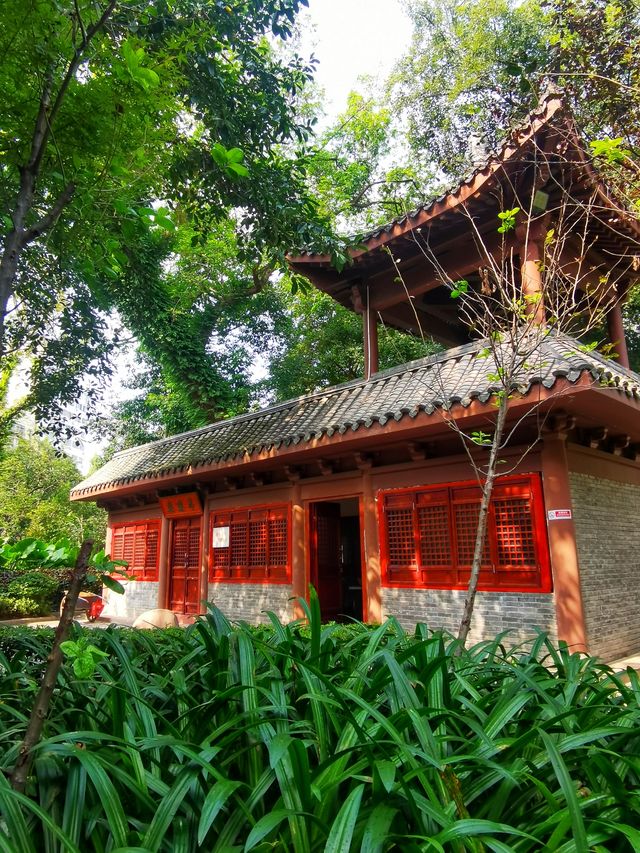 古桂新竹,贛州公園大有來歷 古桂新竹,贛州公園大有來歷