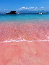 印尼/科莫多島/你見過粉紅色的沙灘嗎？