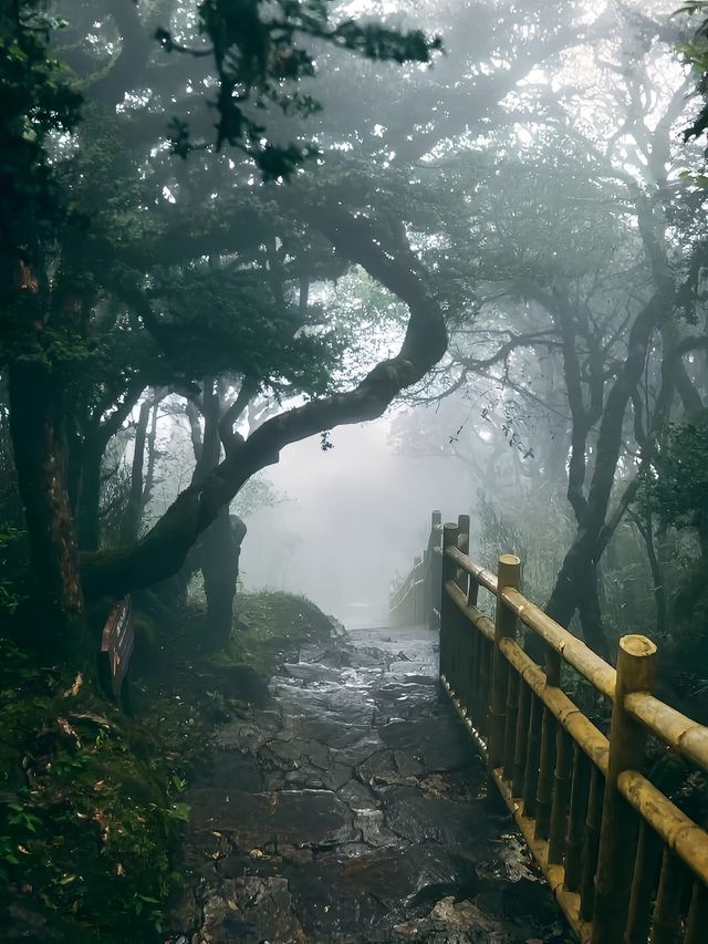 廣西登山旅遊景點攻略分享！