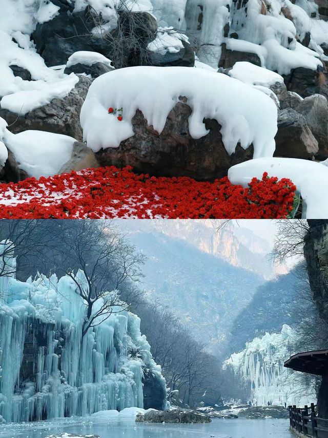 焦作丨雲台山冬季看冰瀑，鄭州周邊的冰雪奇緣丨河南行李寄存