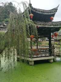 10月12日早上吃完了本地特色早餐就出發了，一路上漸漸有了秋天的顏色，還有一些晚稻金黃黃的，道路的兩