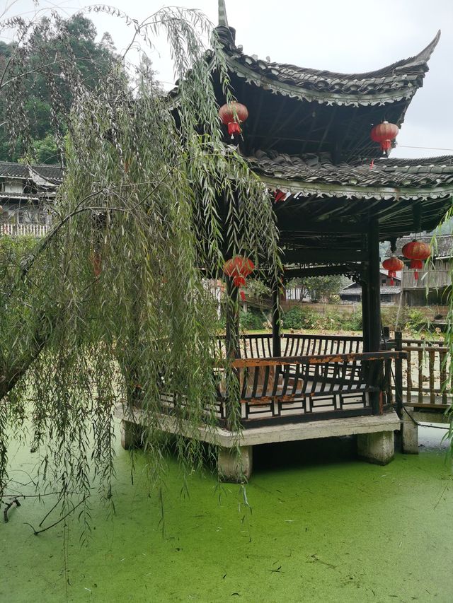 10月12日早上吃完了本地特色早餐就出發了，一路上漸漸有了秋天的顏色，還有一些晚稻金黃黃的，道路的兩