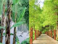 重慶小江南‖彩雲湖濕地公園