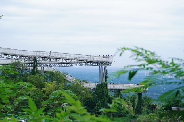 成都的森林高空棧道免費開放啦，帶上喜歡的人一起去雲中漫步吧