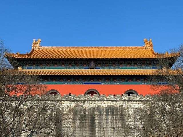 南京之旅，詩意漫步！