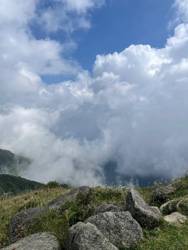 南山牧場｜漫步雲端