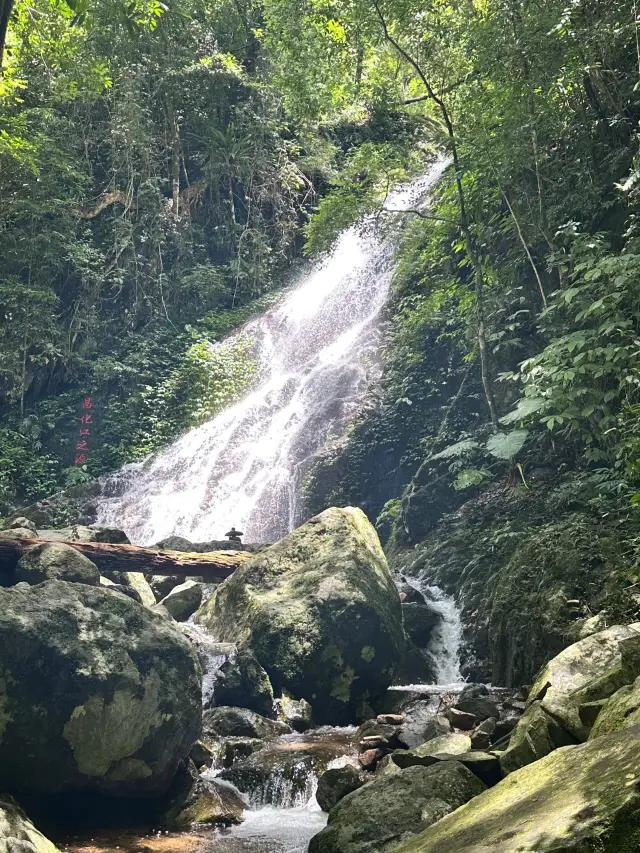 Hainan Wuzhishan Tropical Rainforest Alice in Wonderland