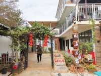 一路南下之3：探尋南極村