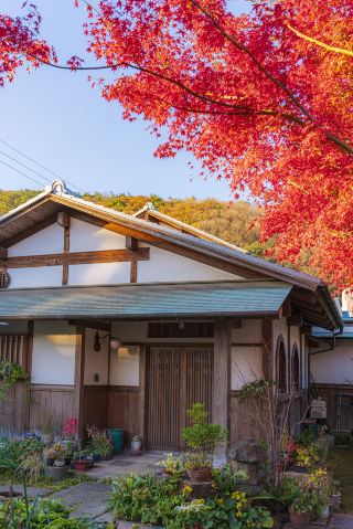Take the opportunity to visit Shikoku once