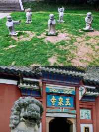 玉泉山下小江南