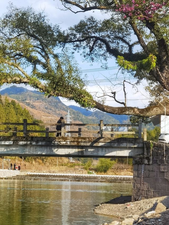 過大年:永嘉休閒二日遊 過大年:永嘉休閒二日遊