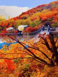 一場香山之外的秋色盛宴|北京·坡峰岭·紅葉季