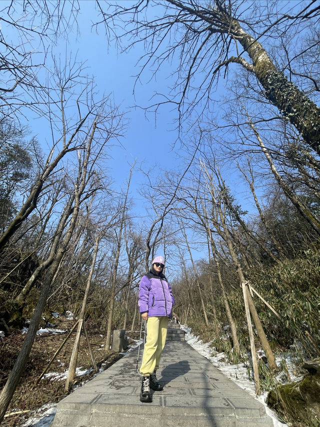 不虛此行「天門山」，人間一趟一定要帶娃一起來看看祖國大好河山