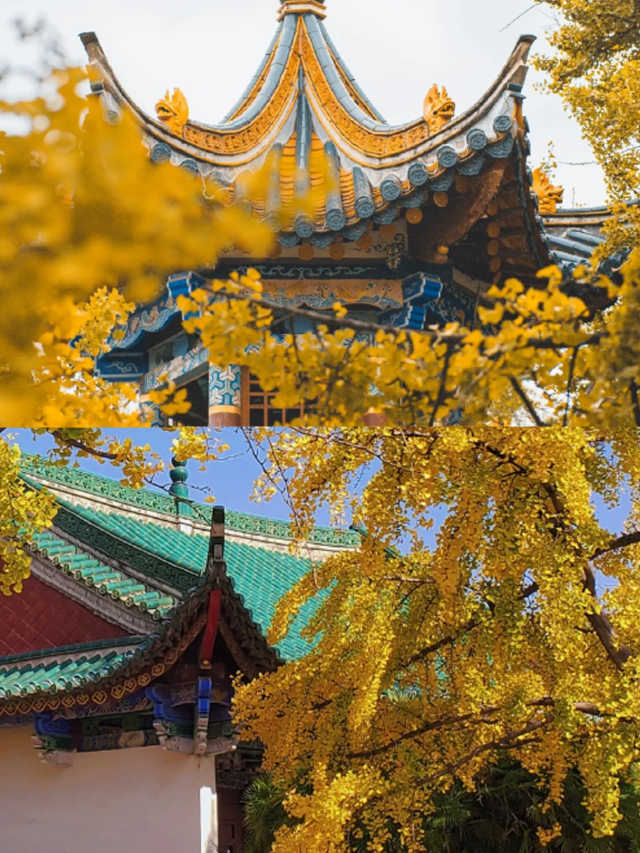 翠湖公園｜一年有四季，四季皆可於翠湖