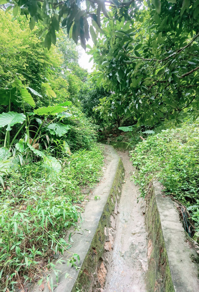 東莞週末小眾溯溪拍照點-大嶺山