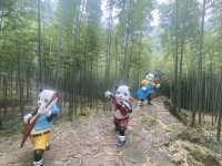 天堂南山，夢幻竹海—江蘇溧陽南山竹海景區