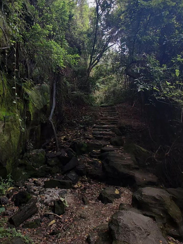 打卡青秀山