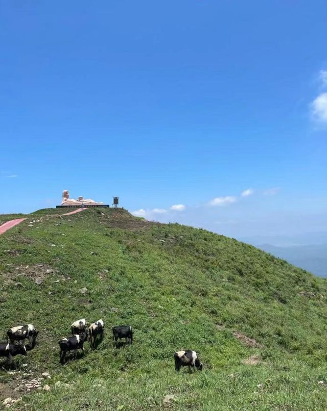 屏山旅遊區你玩得可真花啊！