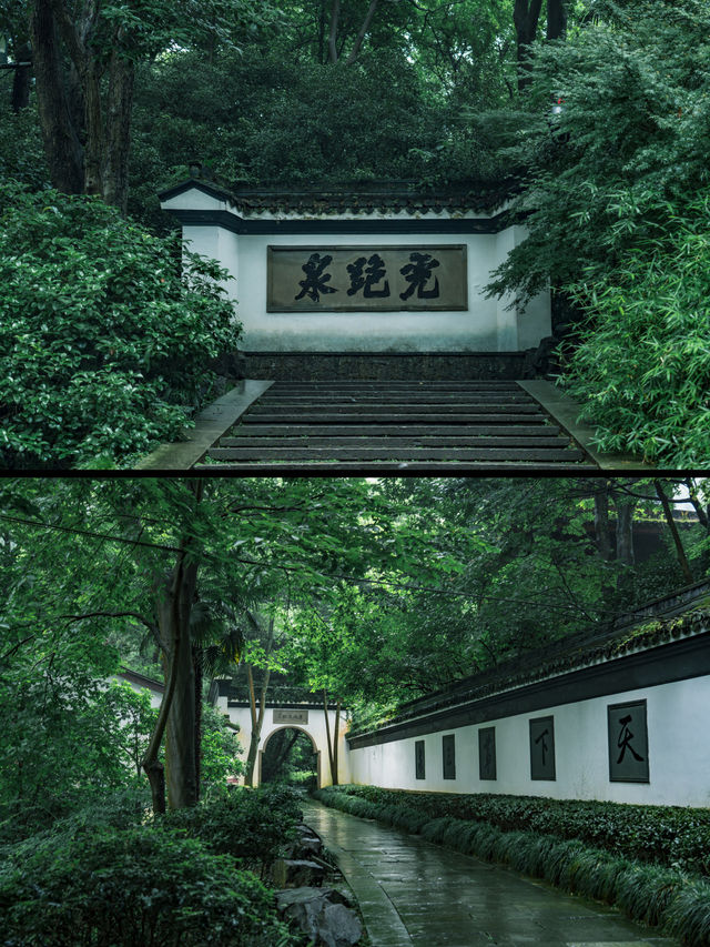 雨中的虎跑公園更像是杭州版的亞馬遜熱帶雨林