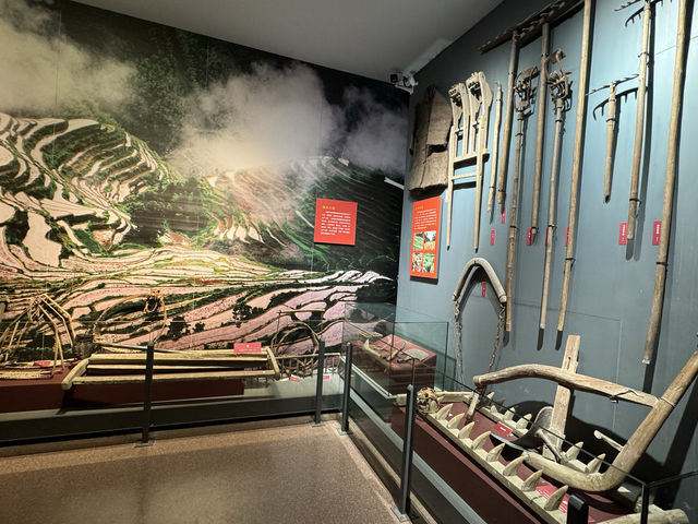 景寧畬族博物館 景寧畬族博物館