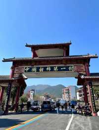 中國甜柿第一村—鏨字石村