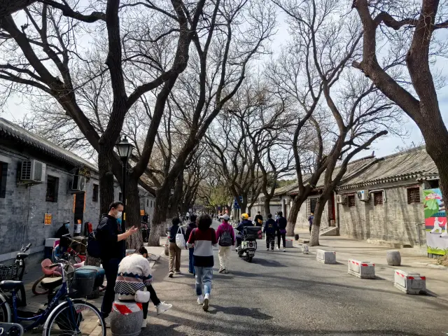 The Guozijian Street Guide for a Leisurely Stroll through the City