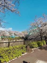 東京 我來啦