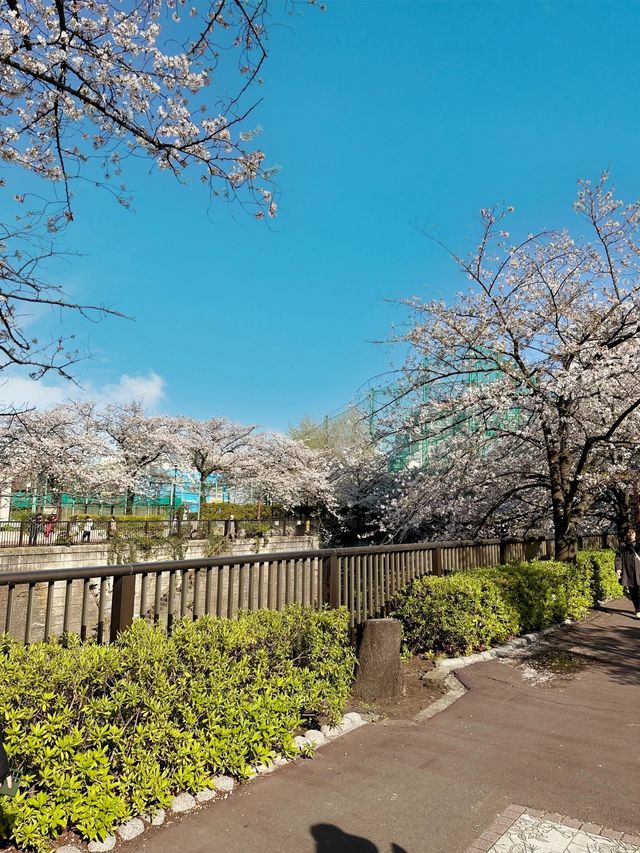 東京 我來啦