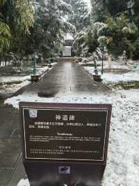 中國古代歷史名人包青天包大人的墓園