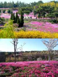 在大連，有一處宛如仙境的地方——英歌石植物園