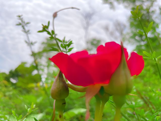 南京浦口老山森林公園