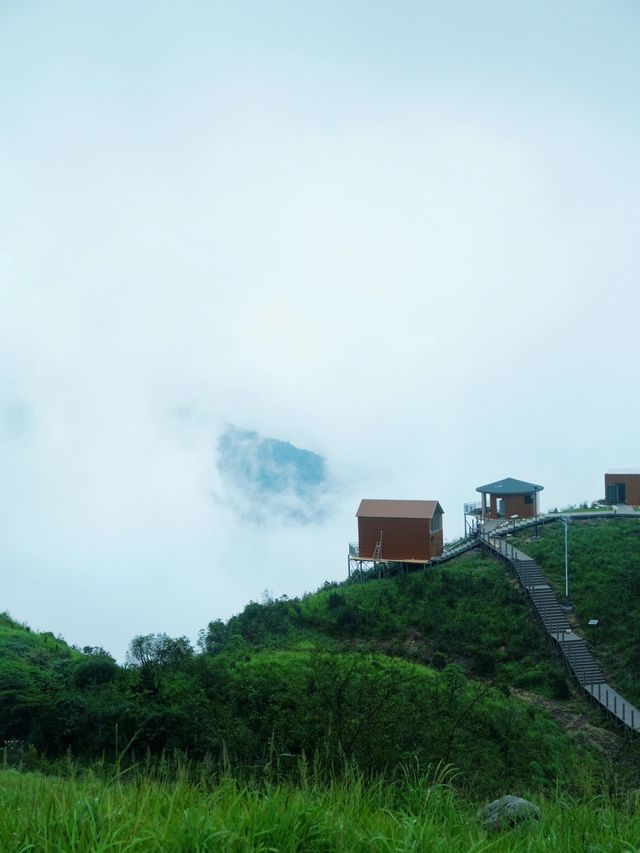 假期反向出游，在郴州！雲端之上的森林民宿