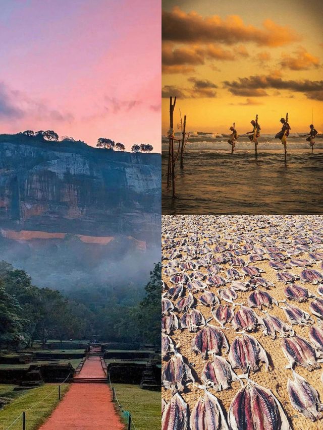 斯里蘭卡旅遊合集性價比天花板