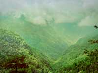 龍泉山絕壁奇松--媲美黃山