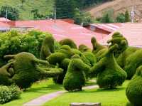 Costa-Rica Surreal Shapes