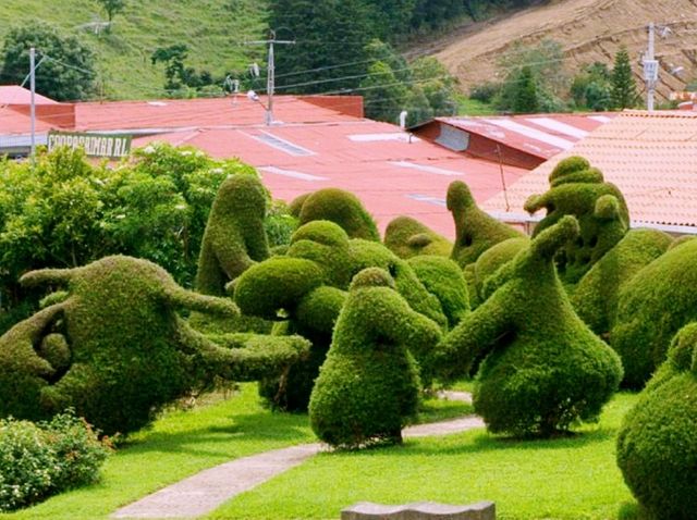 Costa-Rica Surreal Shapes